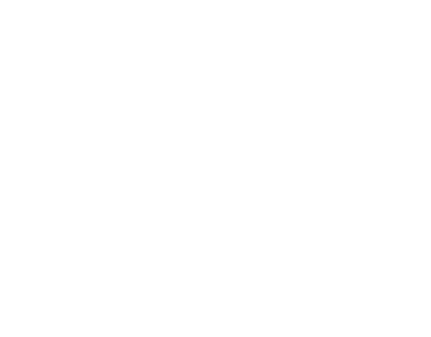 Havas New York